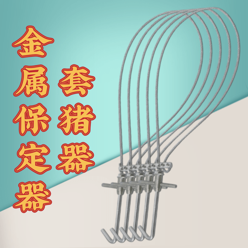 金属套猪器耐腐蚀保定器猪用保定绳兽用打针猪套嘴拉猪绳抓猪神器