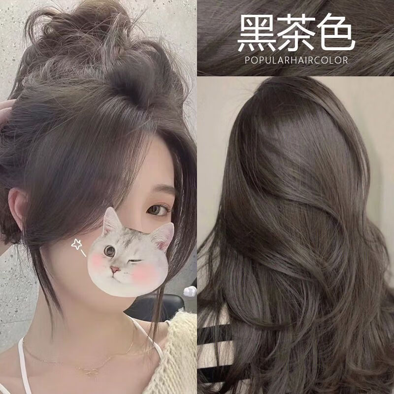 欧莱雅黑茶色染发剂自己在家染发膏泡泡沫牌女免漂 黑茶色 一盒装