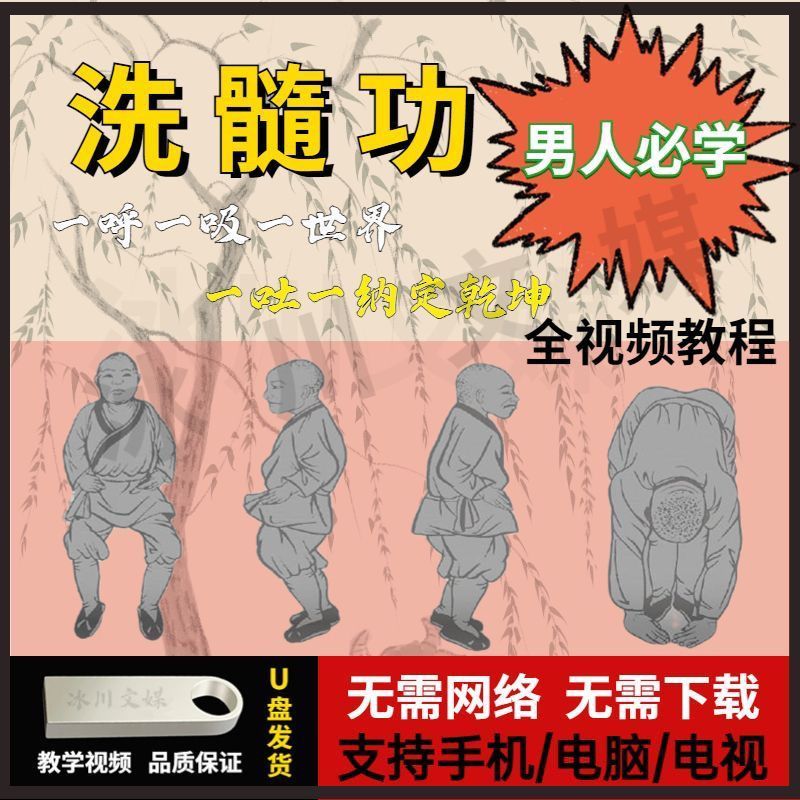 洗髓健身教程u盘强身健体运动训练动作讲解示范教学高清视频优盘 洗髓