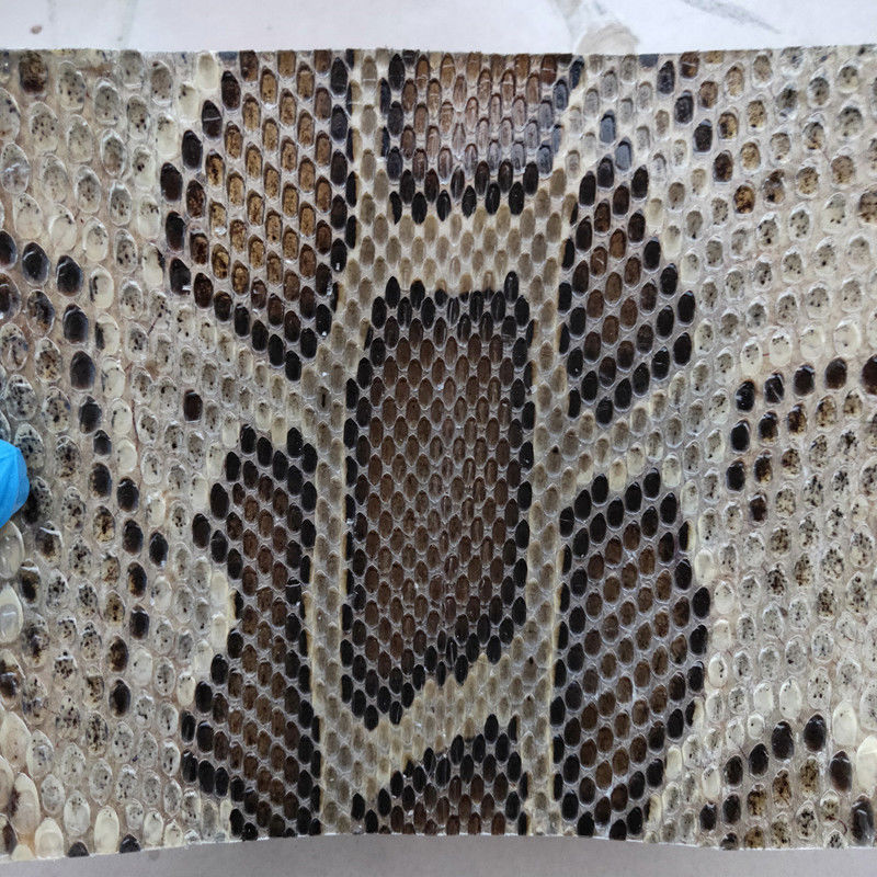 三弦蒙皮 金花蟒皮 单块二胡高胡三弦皮 扎念琴六弦琴蟒皮 鼓皮 20*20