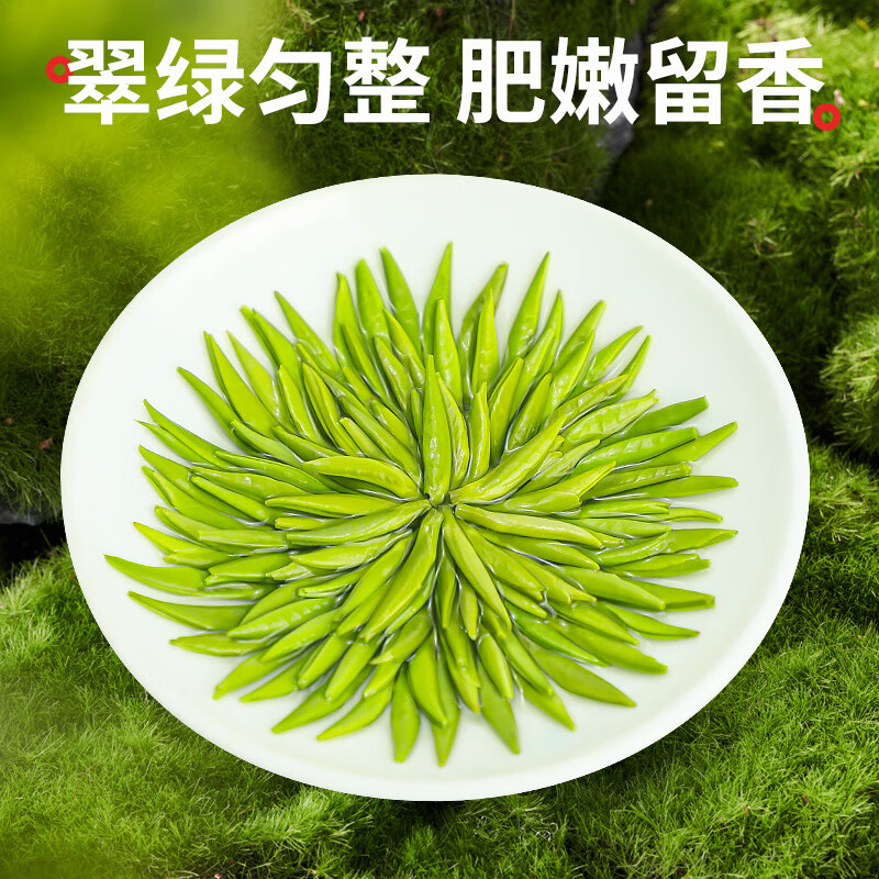 樂品樂茶2024新茶雀舌綠茶葉特級濃香型云霧春茶嫩芽禮盒裝自己喝 250g 雀舌茶【金罐品質(zhì)】