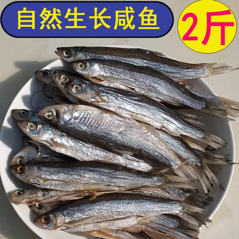 维莱瑞安徽盐味鱼干小毛鱼咸干鱼小河鱼小杂鱼白刀鱼刁餐条腰皮500g 5