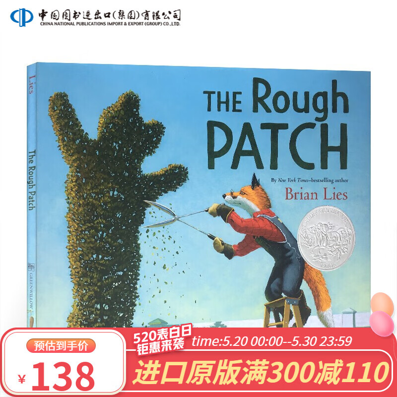 走出荒原 走过艰难时刻 英文原版 the rough patch 粗糙的补丁 精装