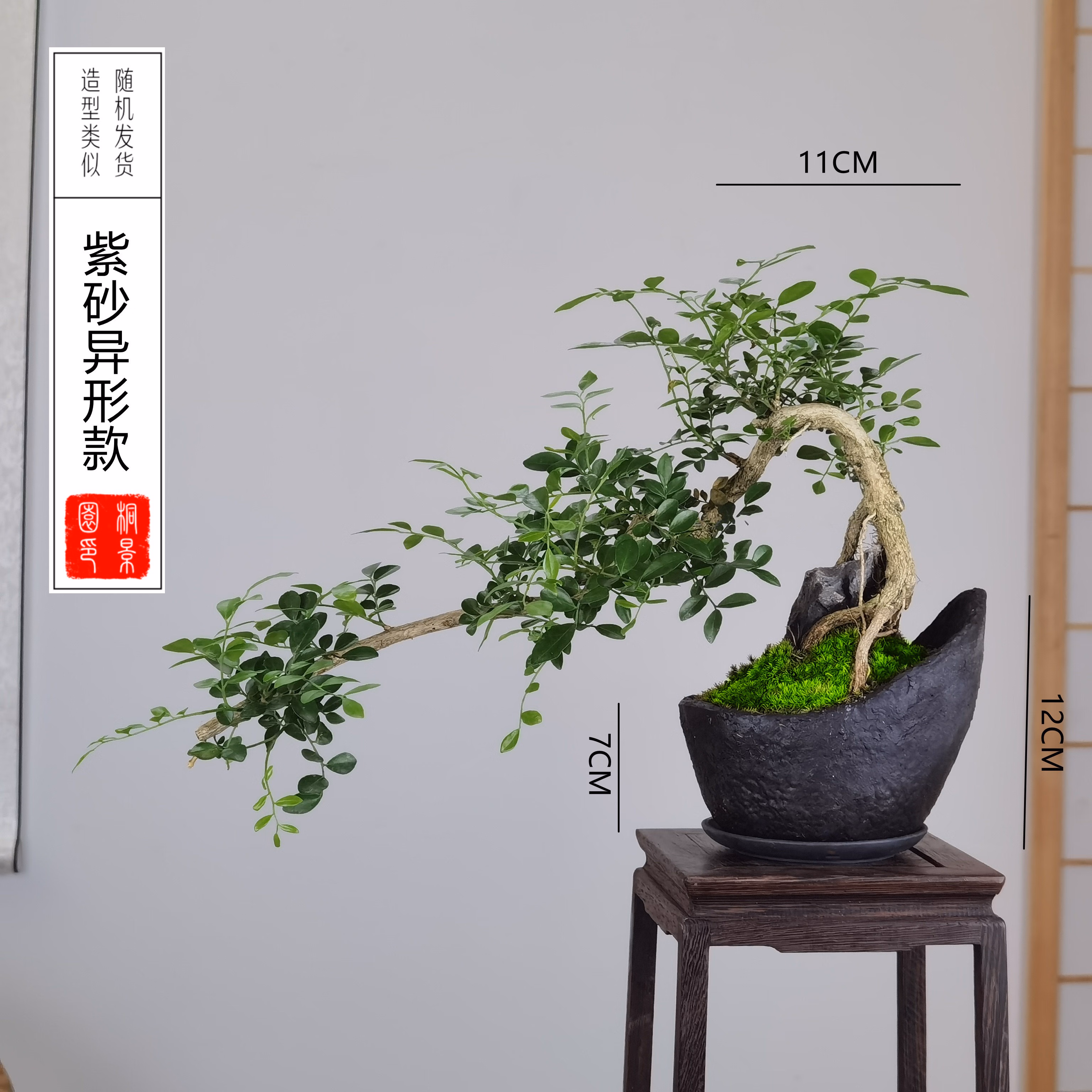 盆景新中式室内茶几办公桌会客厅摆放盆栽 紫砂异形款(配紫砂接水盤)