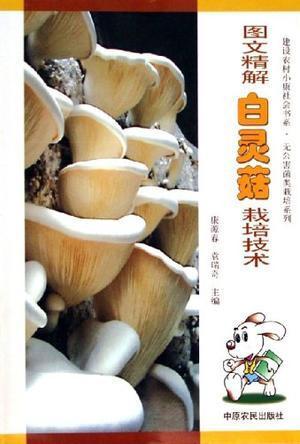图文精解白灵菇栽培技术 康源春 中原农民出版社