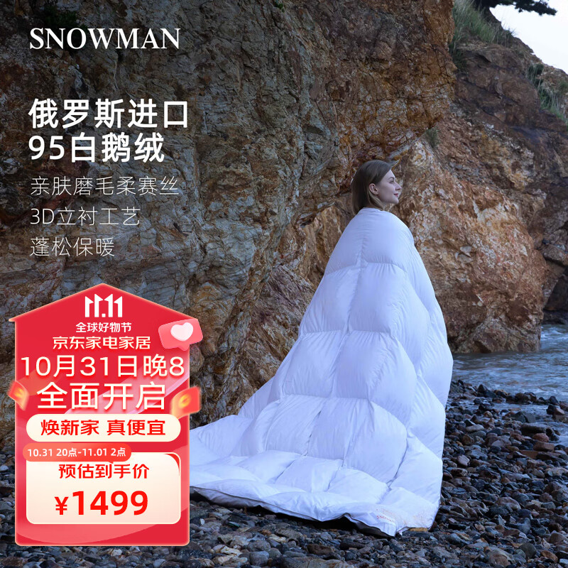 怎么查一款羽绒羽毛被历史价格|羽绒羽毛被价格历史