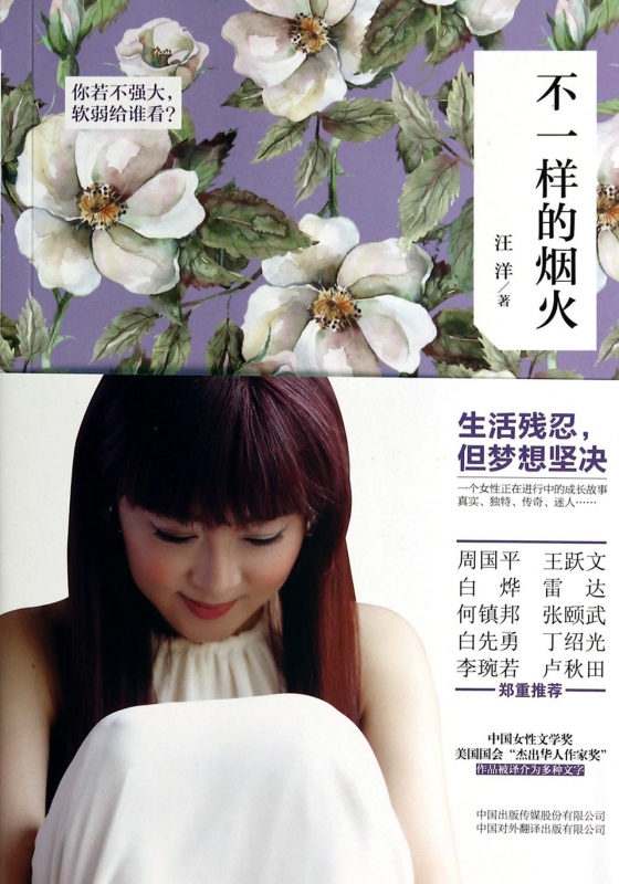 不一样的烟火