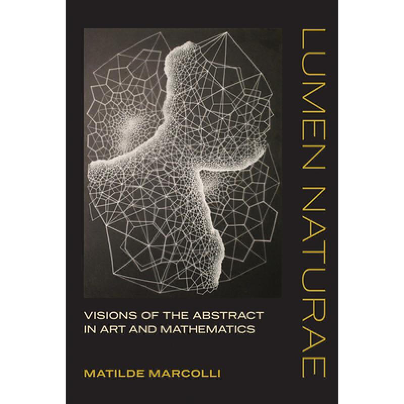 lumen naturae: visions of the abstract in ar. 英文原版