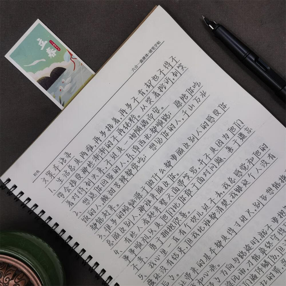 潋滟野生字体行楷字帖女生字体漂亮手写体大气初高中生练字帖 六合一