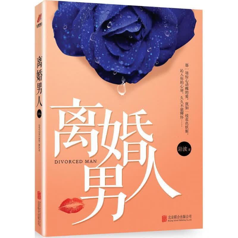 离婚男人 岩波著 北京联合出版公司