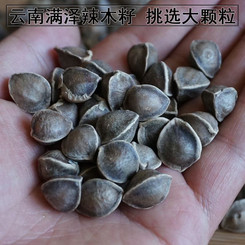 康中尊 云南满泽辣木籽大颗粒 那木子辣木籽大果 棘木籽 康中尊 500g