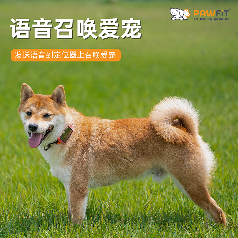 PAWFIT英国PAWFIT宠物定位器狗猫咪防丢语音召回gps追踪防丢运动监测 PAWFIT 3+专用项圈XL码