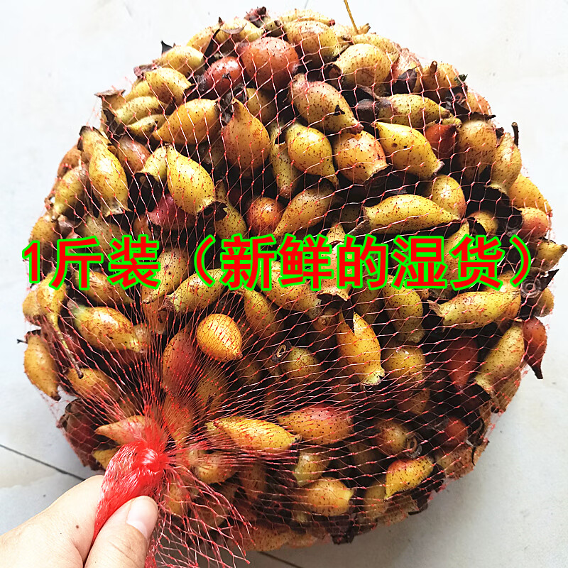 金樱子新鲜现摘野生刺梨子山石榴金英子可干货可食用泡酒药材 1斤装