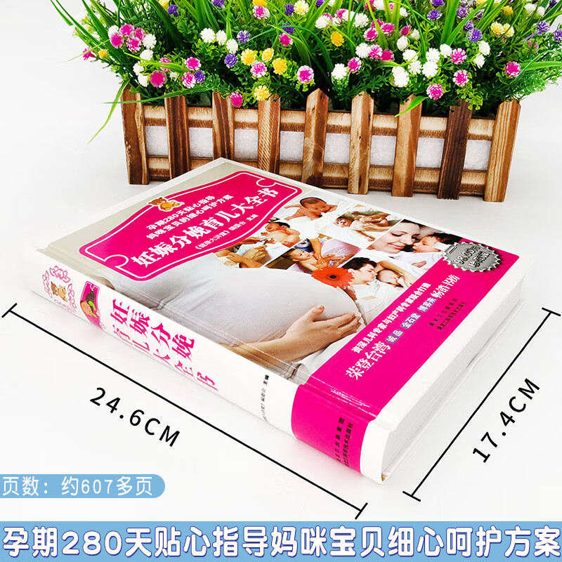 妊娠分娩孕产育儿大全 女性孕期准备孕妇看的书籍怀孕书籍月子餐孕妇42天营养食谱大全十月怀胎知识全书育儿