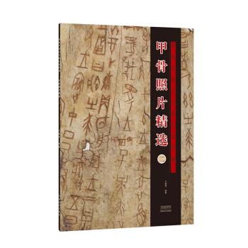 甲骨照片精选 殷墟甲骨文书体分类萃编 王蕴智 著【正版】
