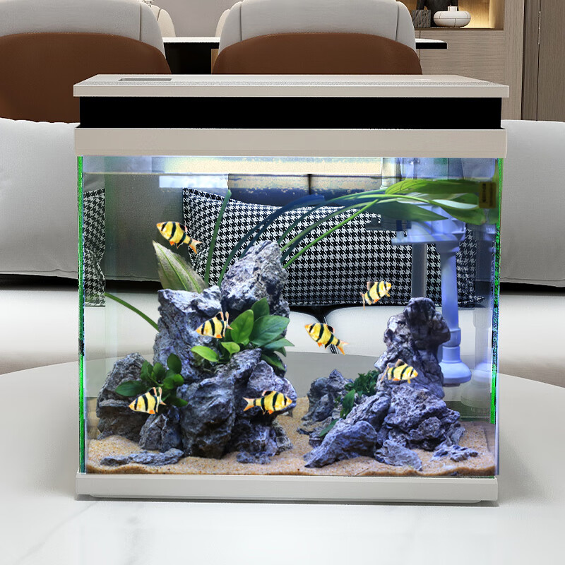 怎么查鱼缸水族箱历史价格|鱼缸水族箱价格走势图