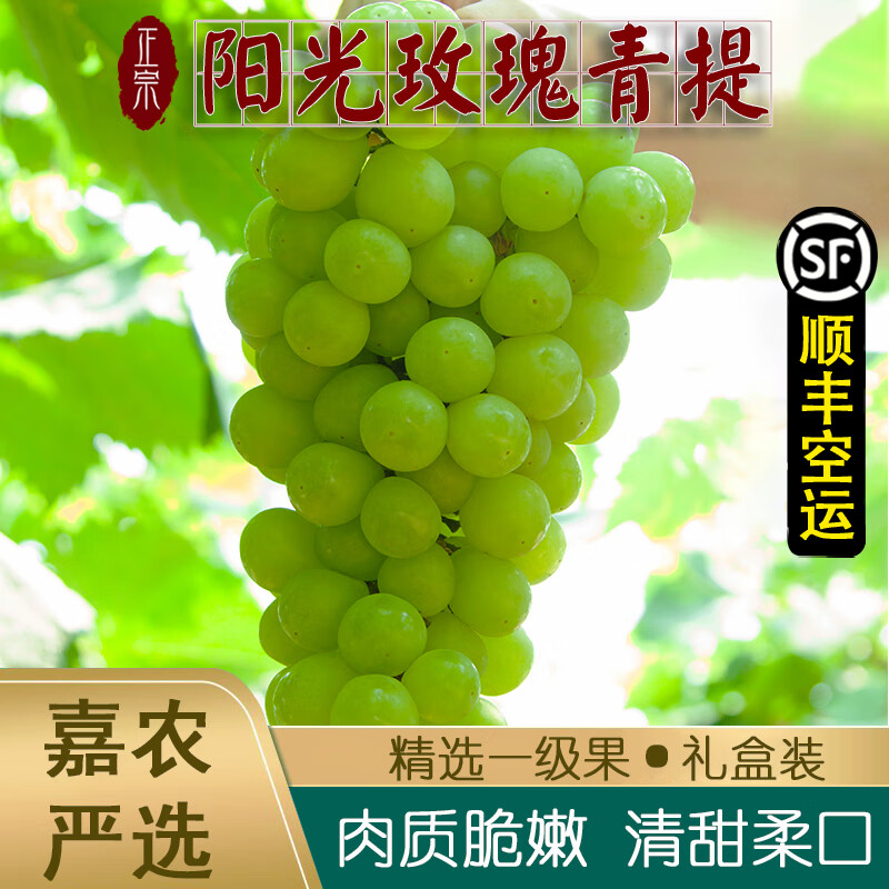 阳光玫瑰青提 顺丰空运送礼水果礼盒装 新鲜大果无籽提子葡萄生鲜水果