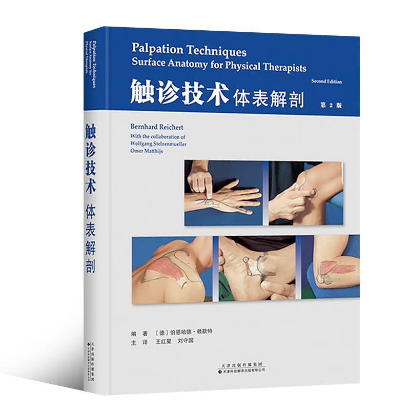 触诊技术：体表解剖