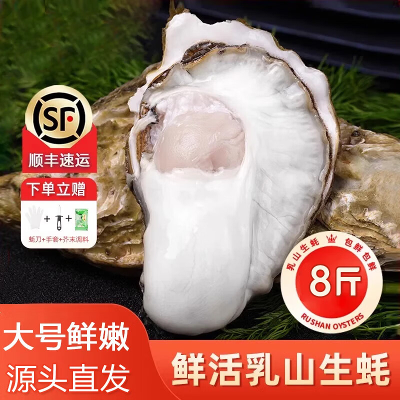 百鲜洽乳山生蚝鲜活特大牡蛎带壳生吃海蛎子新鲜海鲜水产贝类聚会烧烤 掌柜推荐-5XL 净重8斤（14-28只）