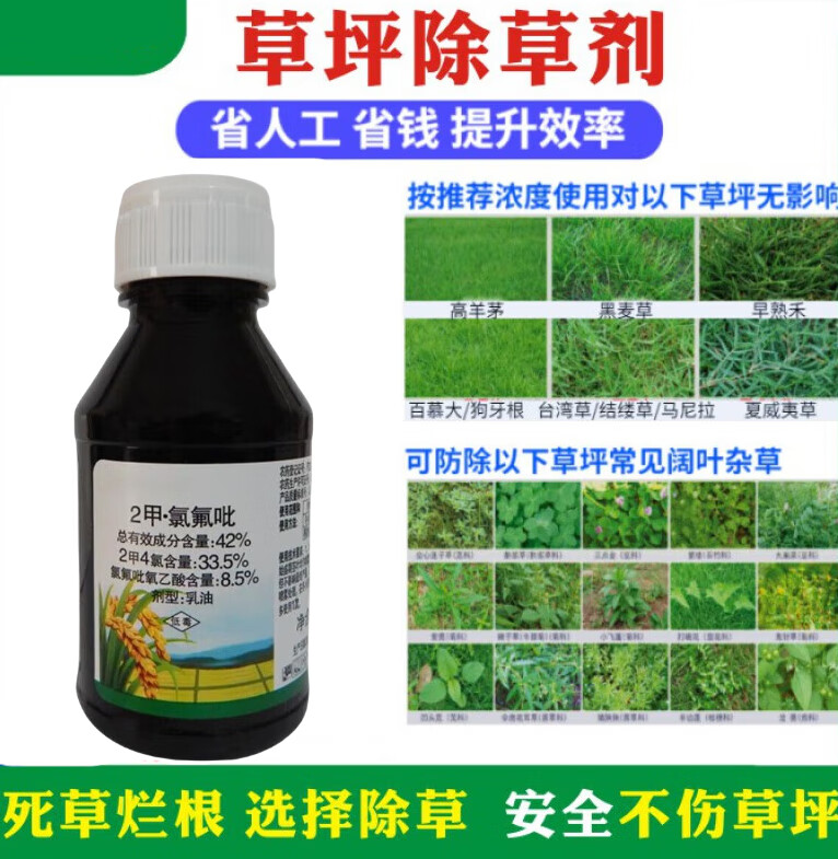 草坪除杂草神剂禾本科除阔叶杂草狗牙根马尼拉烂根草坪除草剂 50ml/瓶