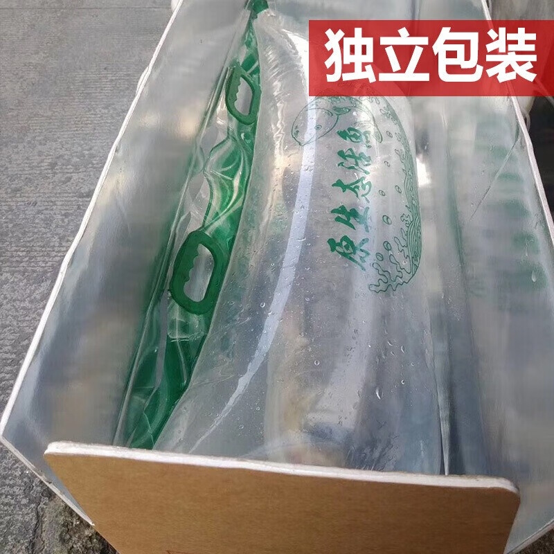 源外园千岛湖胖头鱼 千岛湖活鱼 淡水鲢鳙活鱼大头鱼包头花鲢 端午 送礼 6斤活鱼