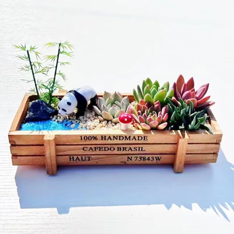 凤鸣雅世创意节日礼物幼儿园植物角盆栽好养儿童观察diy组合手工创意