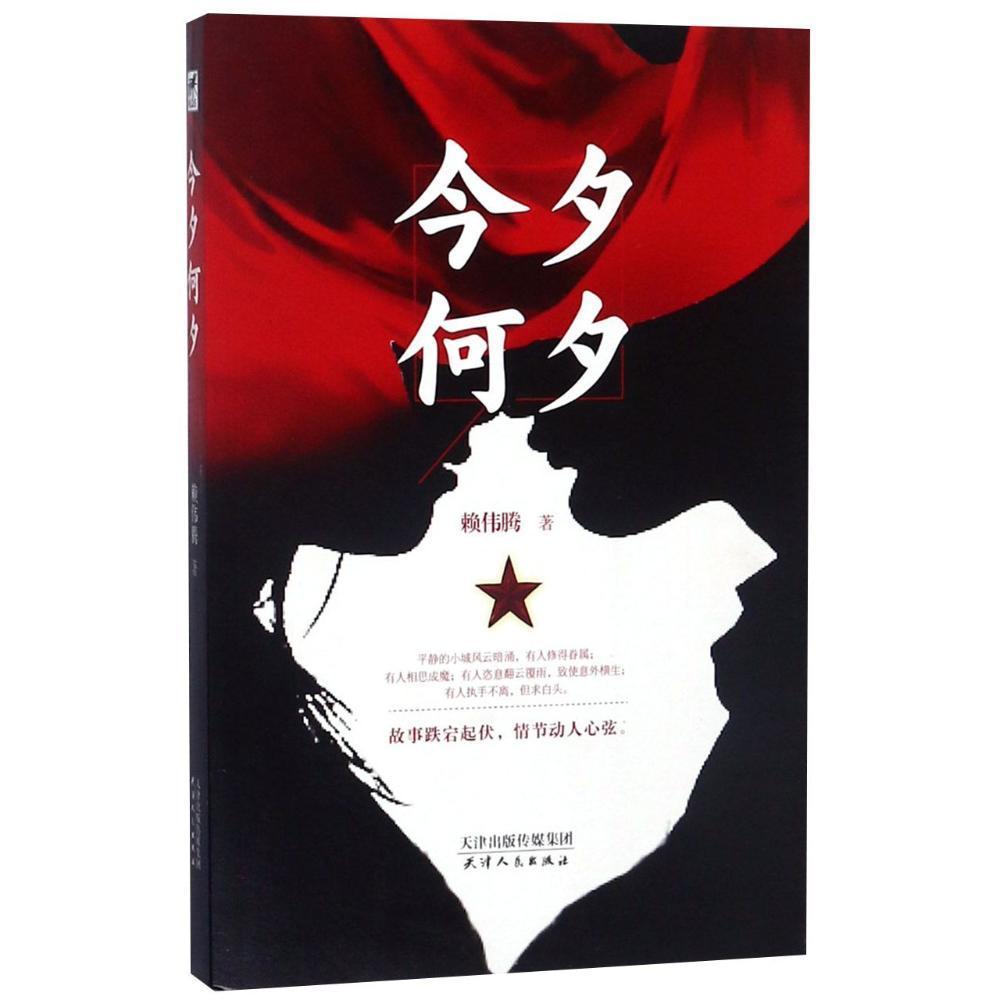 今夕何夕赖伟腾文学9787201127996