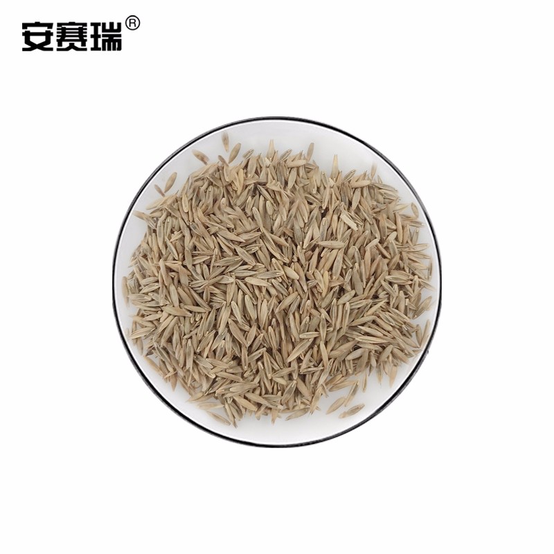 安赛瑞 草坪种子 四季青草籽实验田区绿化草籽成活率高 1kg蓝标早熟禾