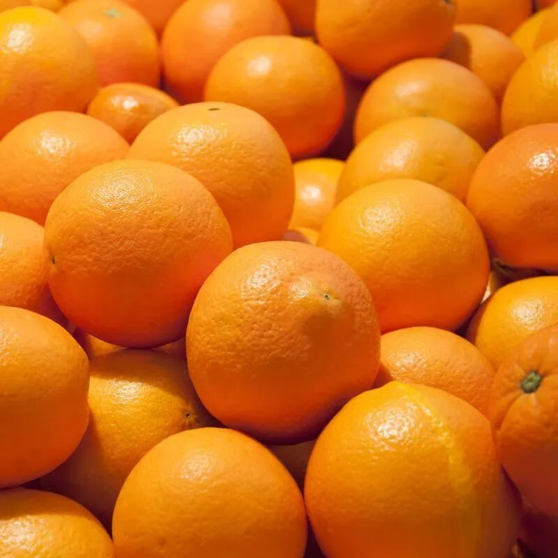 【现发】新鲜脐橙子应季水果整箱薄皮冰糖橙果冻橙 【特实惠】带箱9-10斤中果精选