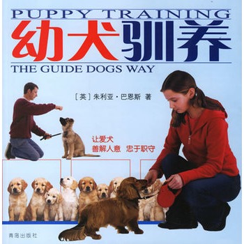 幼犬驯养【放心选购】