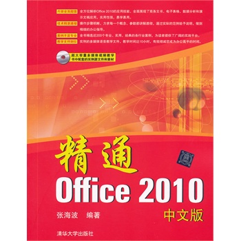 精通Office 2010中文版