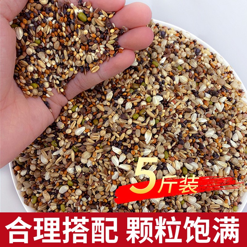 旭杉斯鸽粮无玉米小颗粒饲料鸽子食粮营养斑鸠信鸽专用5斤 5斤装 斤 5