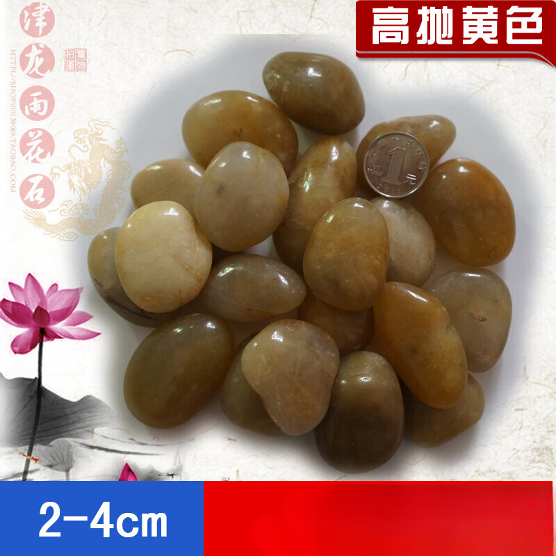 奔新农(benxinnong)天然五彩石花卉雨花石鹅卵石小石子色石头鱼缸底