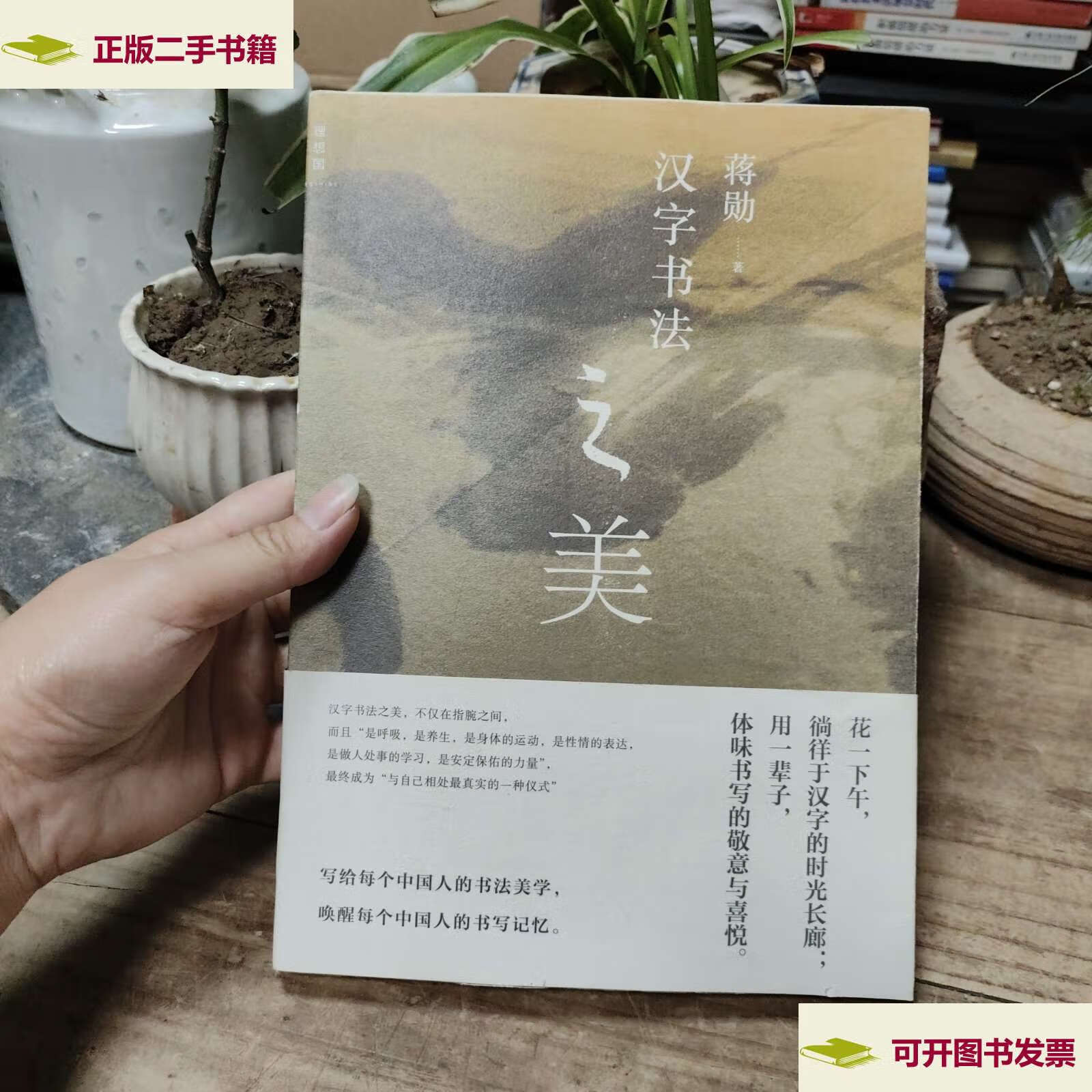 【二手9成新】汉字书法之美 /蒋勋 广西师范大学