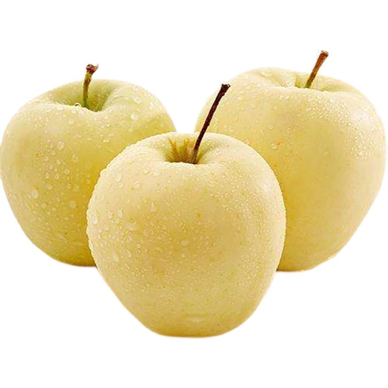 烟台黄金帅苹果 黄元帅苹果 新鲜水果刮泥粉面苹果整箱 12粒礼盒装