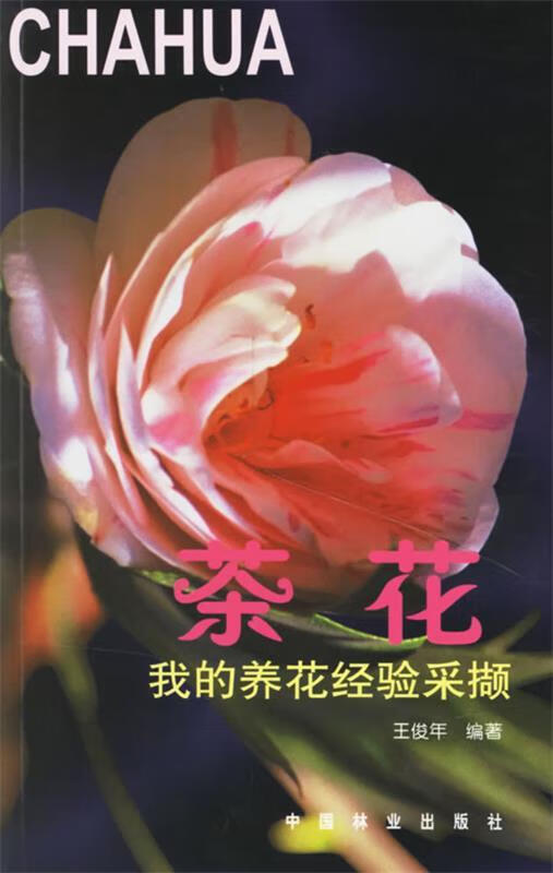 茶花 我的养花经验采撷 王俊年 著作 园林艺术 王俊年【正版好书，下单速发】