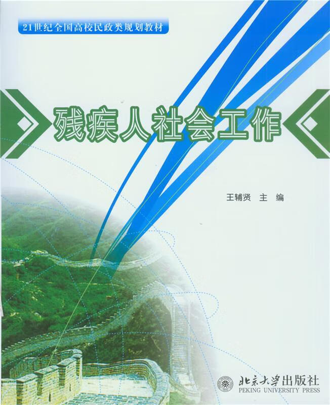 残疾人社会工作 王辅贤主编【正版书】