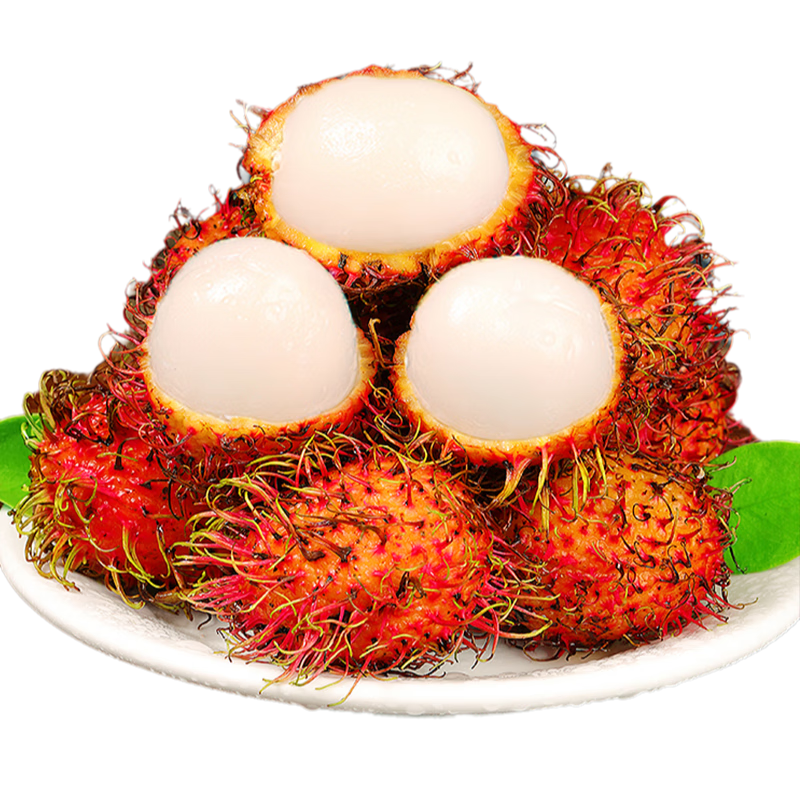 ���ڲ�������ζ�����ں�ë��������ֱ�͡�Խ��ë��֦���ĵ�����ʵ���ˮ���������� 1�ﾻ�� ��ѡ�ش��������20-30g�� �̳������ 27.88Ԫ