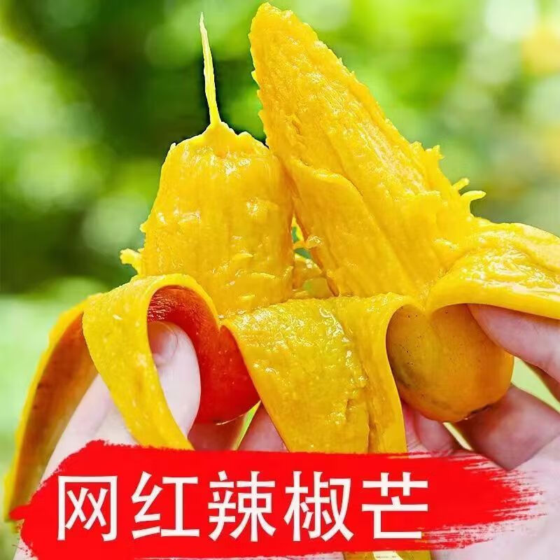 ӣ�ʺ�����������â����ִ��â���и�ˮ��������ǩâСâ��  2�ݺϷ� ���� ����â 4 -4.25��