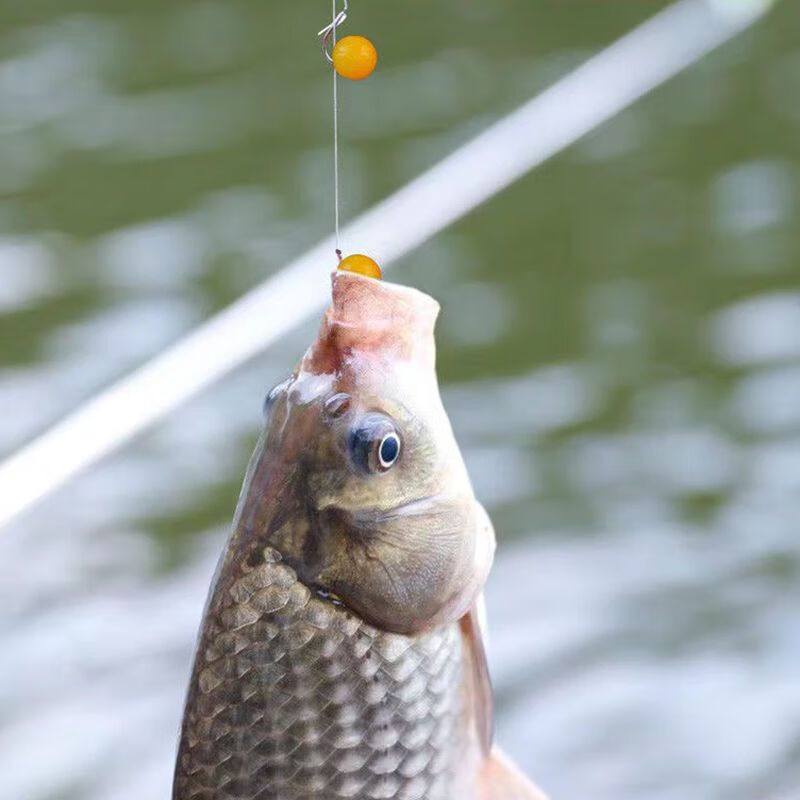 钓鱼浮球大浮力钓鱼珠珠味软珠浮球假饵料钓大鱼青鱼草鱼鲫鱼 9毫米