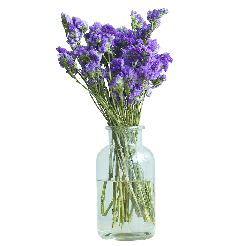 涨势惊人！京东10028456686188价格走向及购买建议|查询京东生活鲜花价格走势