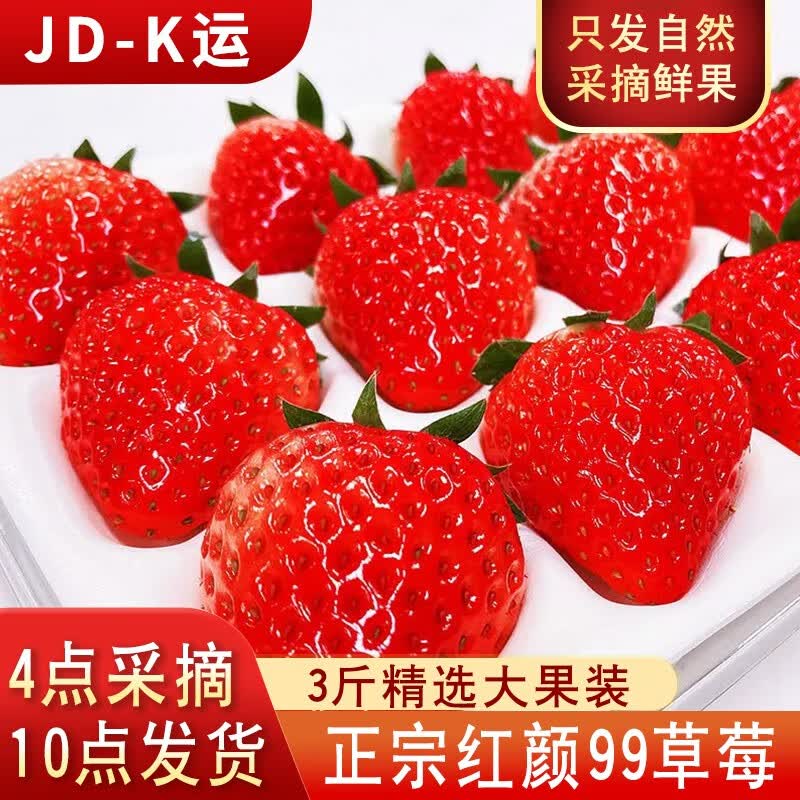 红颜99奶油大草莓现摘现发年货节新鲜水果礼盒 3斤大果装 单果15g+ 净重2.5斤起使用感如何?