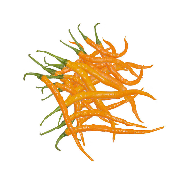 宜享健康味巴哥湖南衡东三樟鲜辣椒黄贡椒原产地直供新鲜黄辣子现摘现