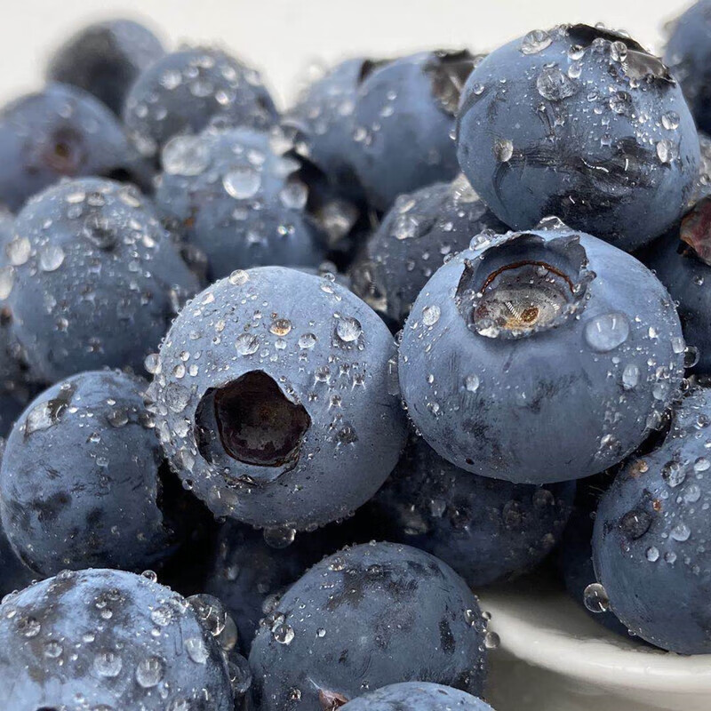 【京鲜配送】新鲜蓝莓云南露天采摘水果宝宝应季蓝莓 4盒