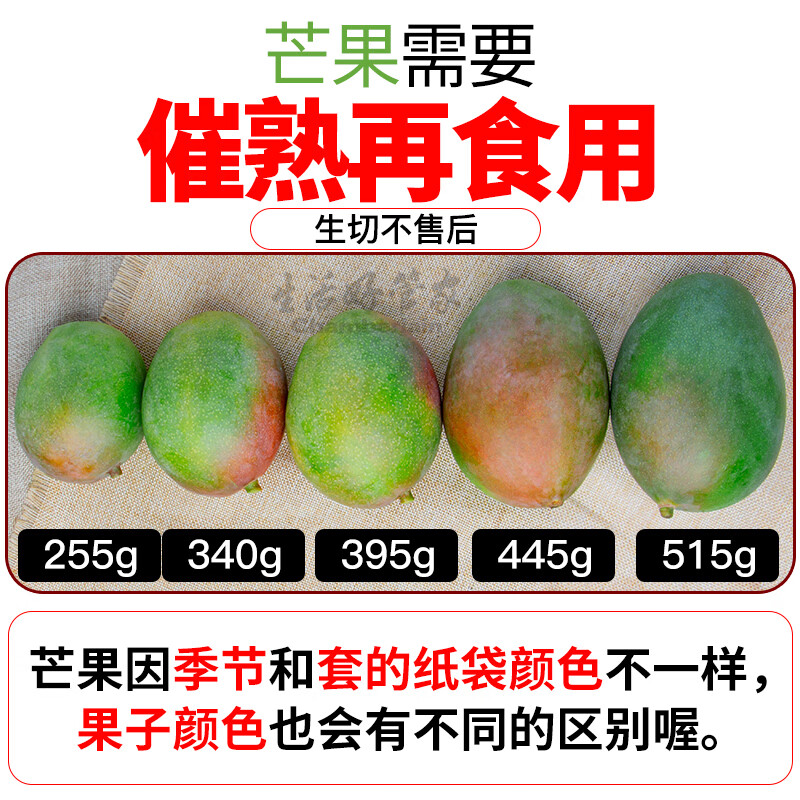 生活&好管家凯特芒大芒果新鲜水果时令芒果应季孕妇水果现摘生鲜芒果 凯特芒净重4.5斤 单果300g+(巨便宜)