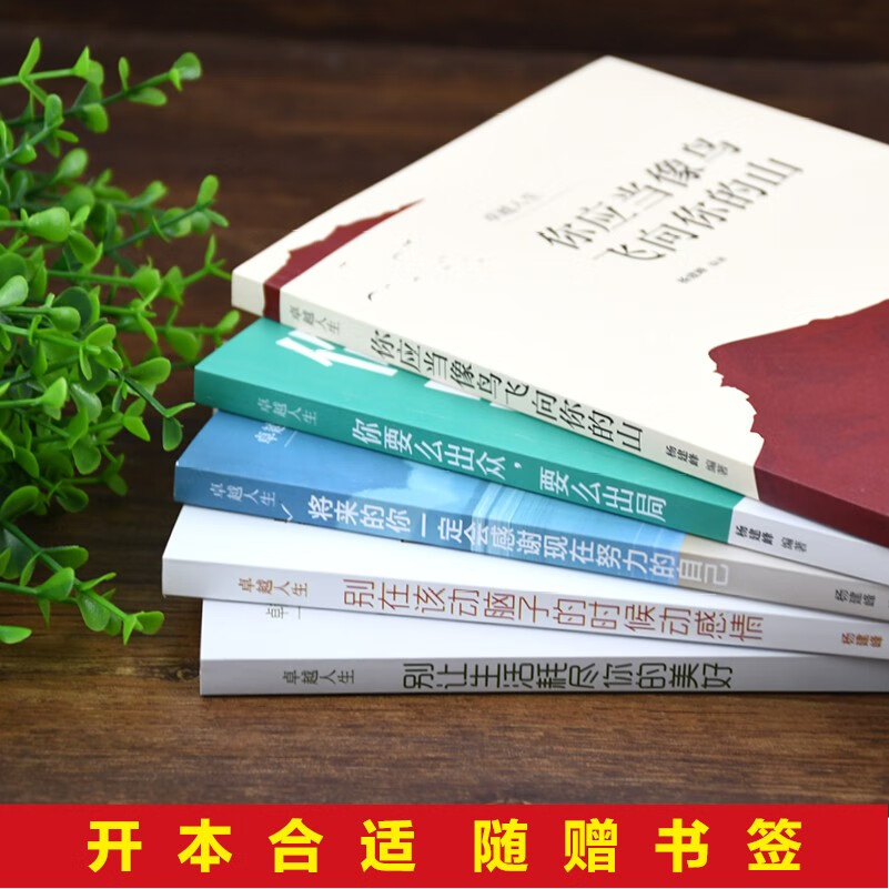 卓越人生（套装5册）：你应当像鸟儿飞向你的山+你要么出众，要么出局+将来的你一定会感谢现在努力的详情图