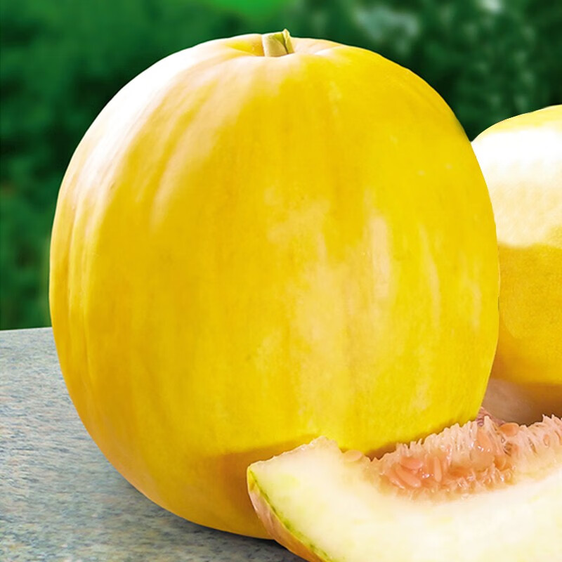 神禾丑八怪甜瓜种子黄皮香瓜菜瓜籽春季 大果美甜甜瓜种子 20粒