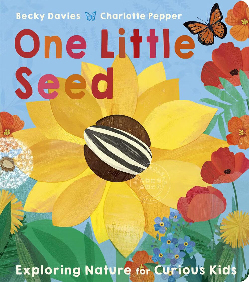 现货 一粒小种子 儿童科普类读物 英文原版 One Little Seed