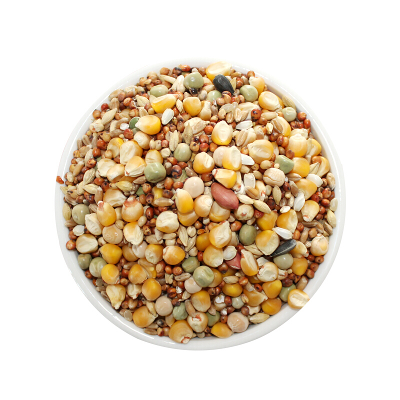 貝意品營(yíng)養(yǎng)有玉米營(yíng)養(yǎng)賽飛飼料信鴿觀賞鴿子糧糧食鳥(niǎo)食10斤 鳥(niǎo)食10斤
