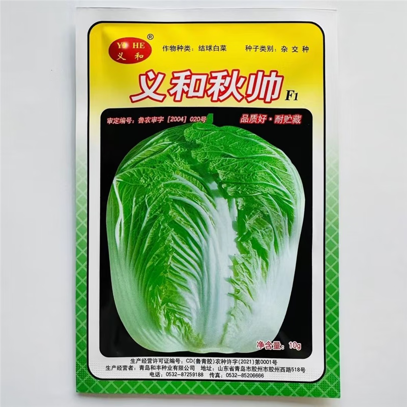 山东义和大白菜种子秋季品种义和秋帅结球白菜种子品质优耐贮藏 义和